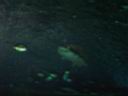 DSC03434.JPG