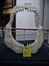 DSC03483.JPG
