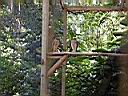 PB200071.JPG