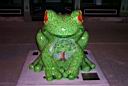 P0002054.jpg: Frog